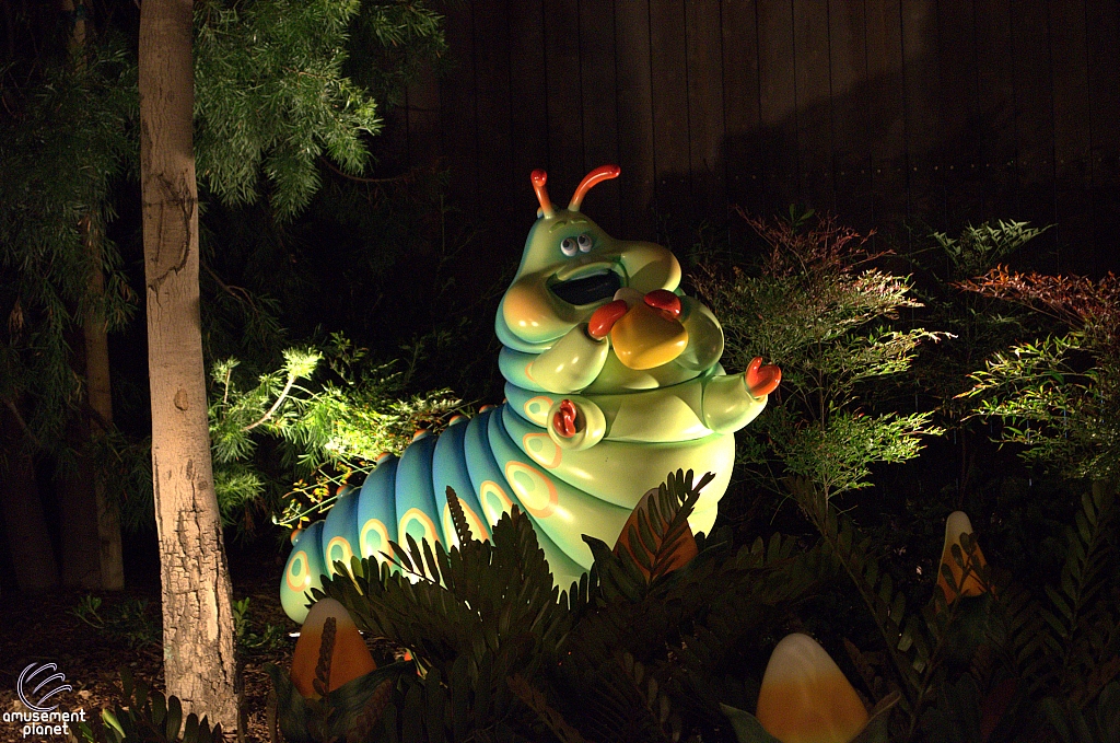 A Bug's Land