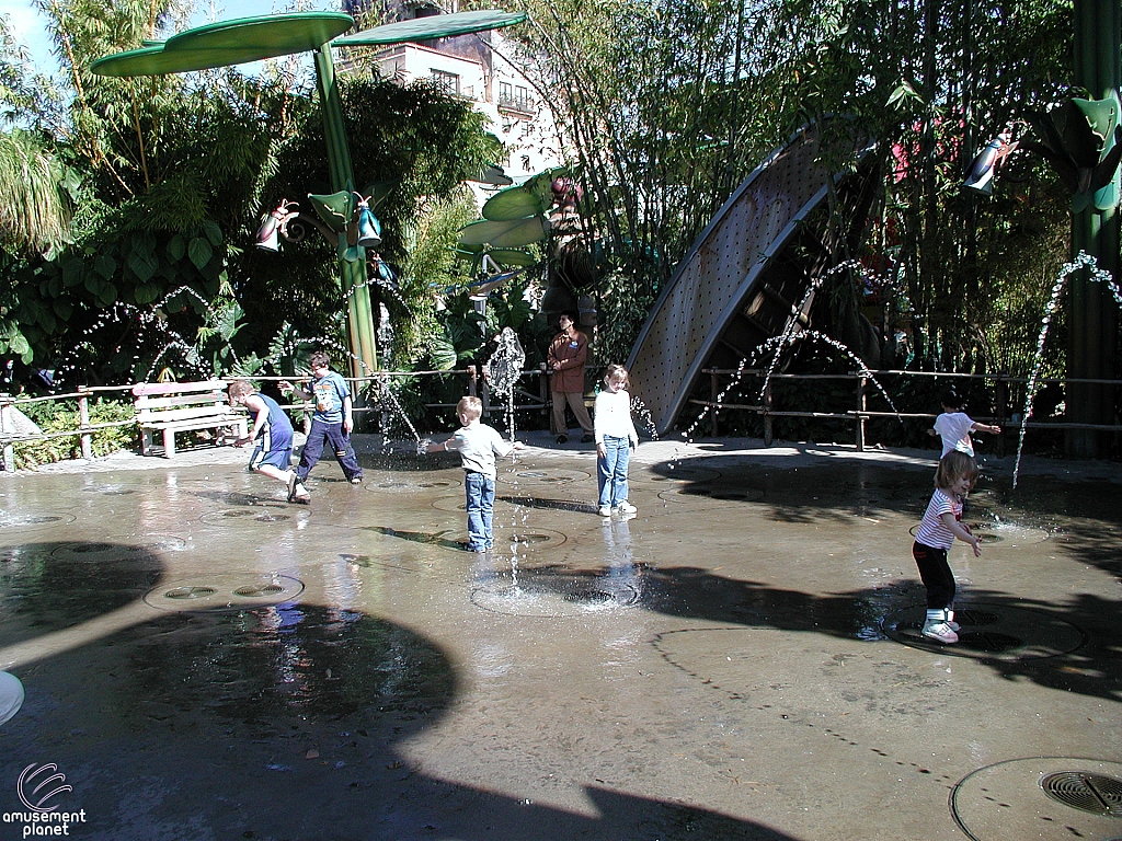 A Bug's Land