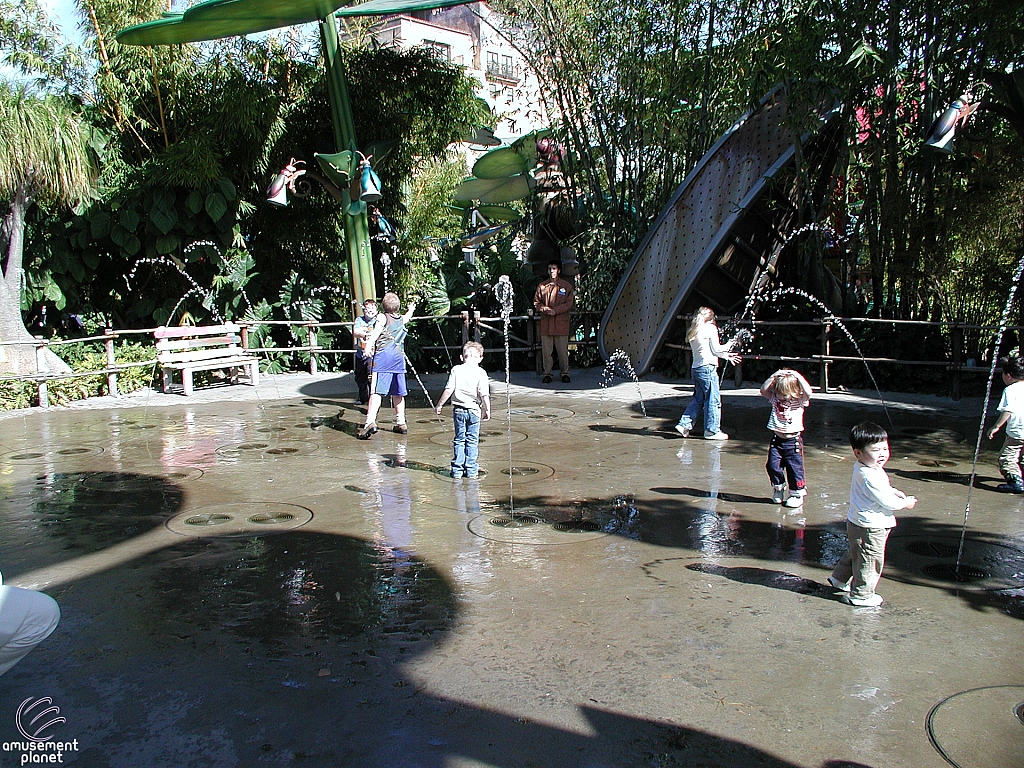 A Bug's Land
