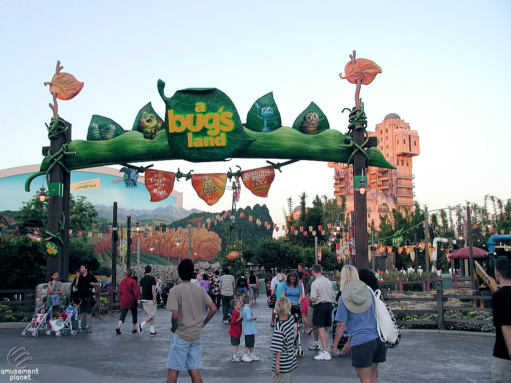 A Bug's Land