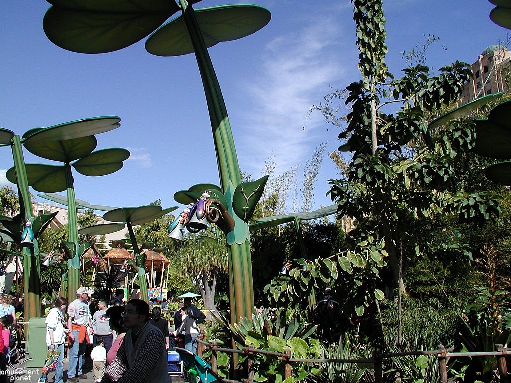 A Bug's Land