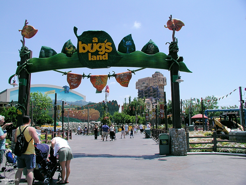 A Bug's Land