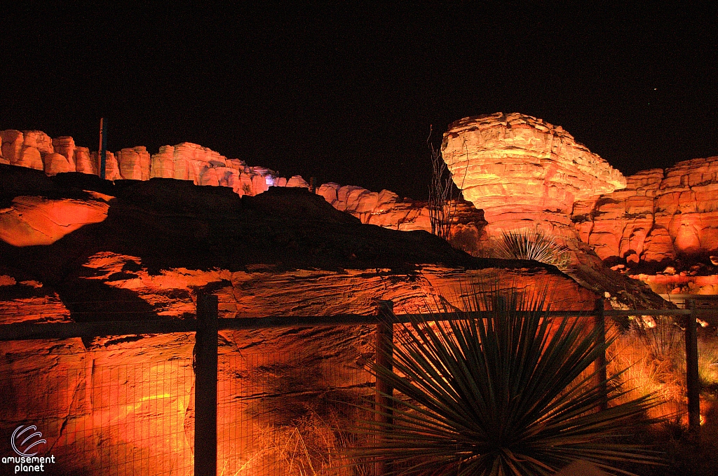 Radiator Springs Racers