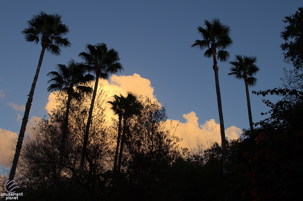 Disney's Hollywood Studios