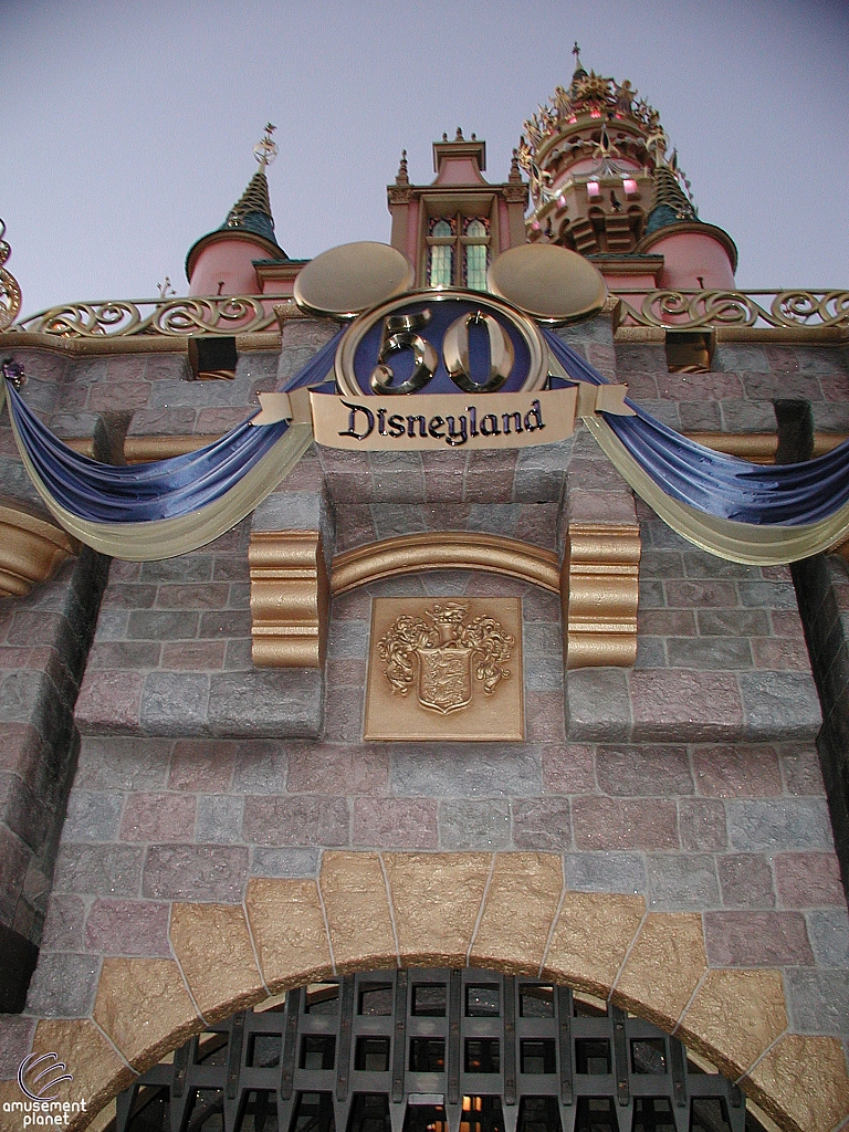 Sleeping Beauty Castle