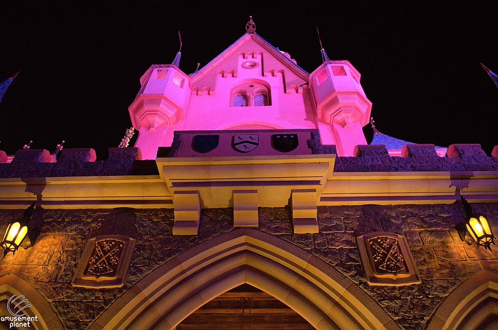 Sleeping Beauty Castle