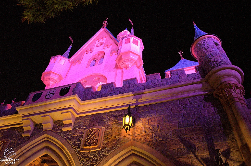 Sleeping Beauty Castle