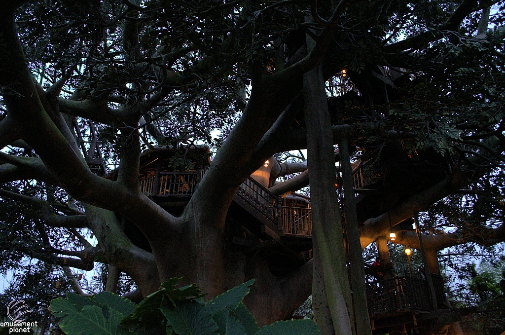 Swiss Family Treehouse