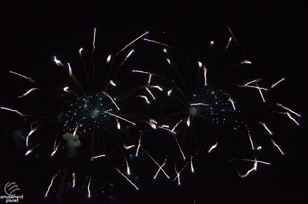 Wishes: A Magical Gathering of Disney Dreams