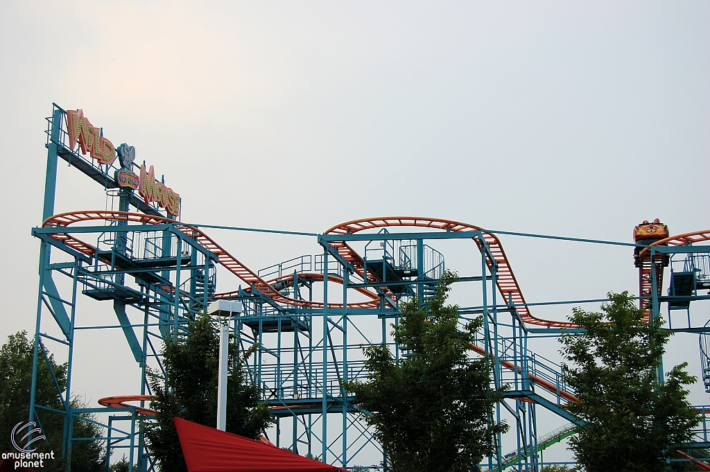 Wild Mouse