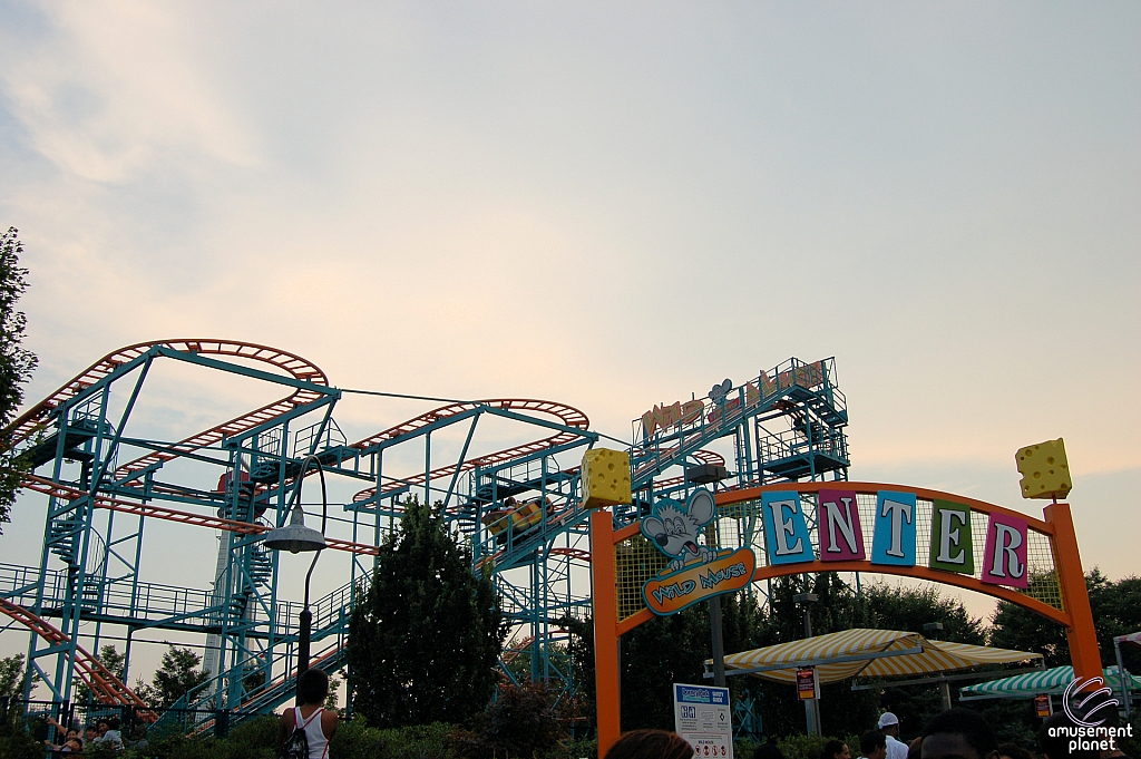 Wild Mouse