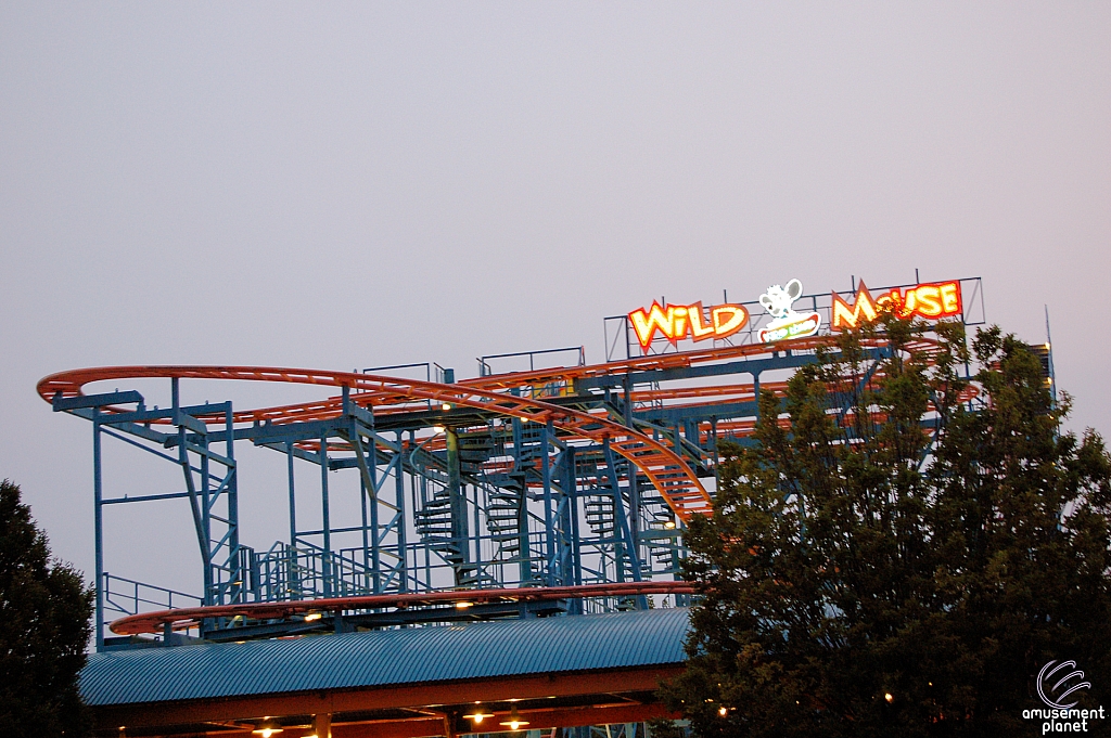 Wild Mouse