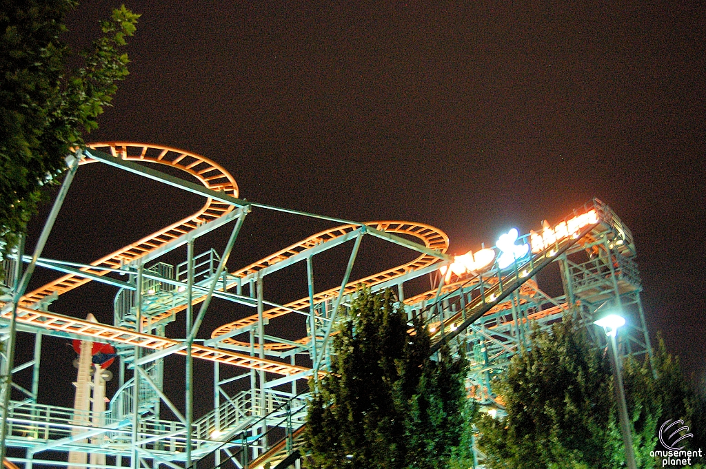 Wild Mouse