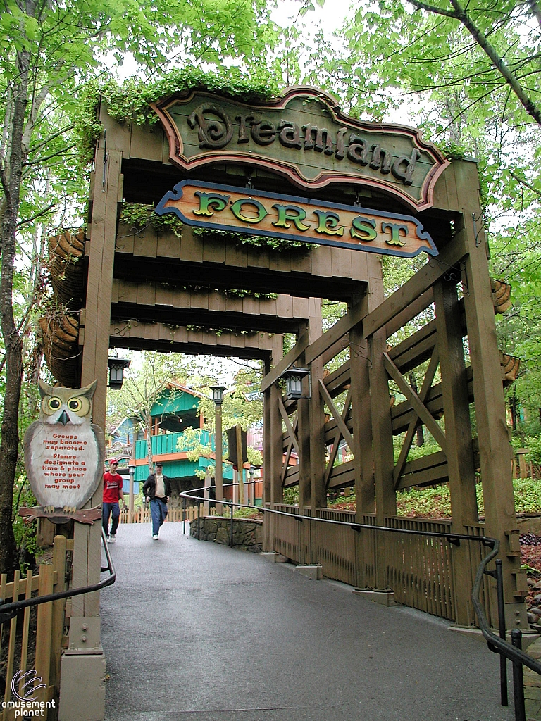 Dreamland Forest