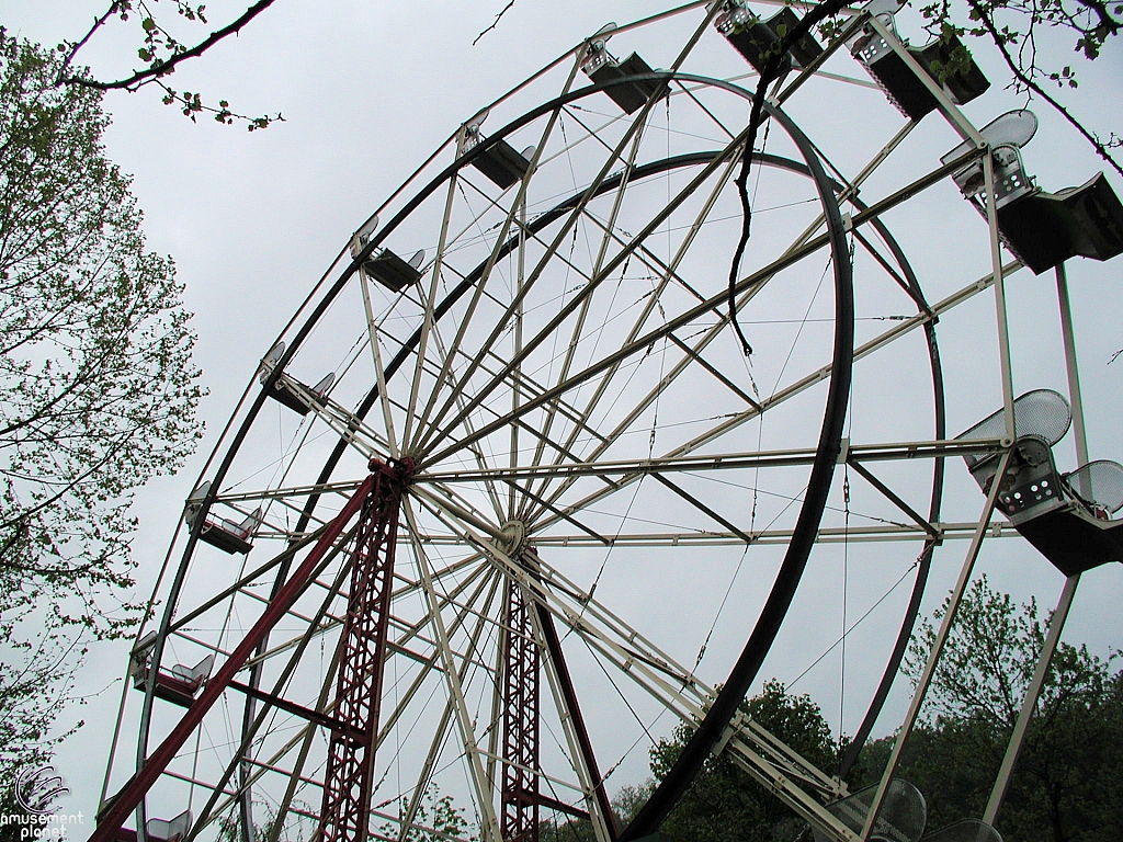 Wonder Wheel