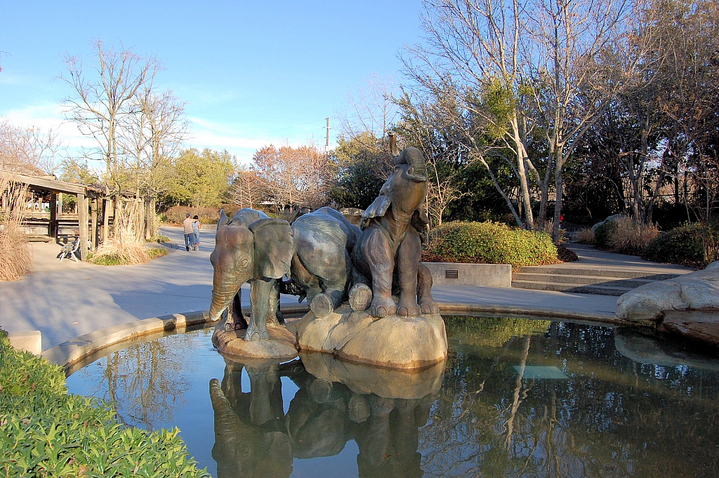 Dallas Zoo