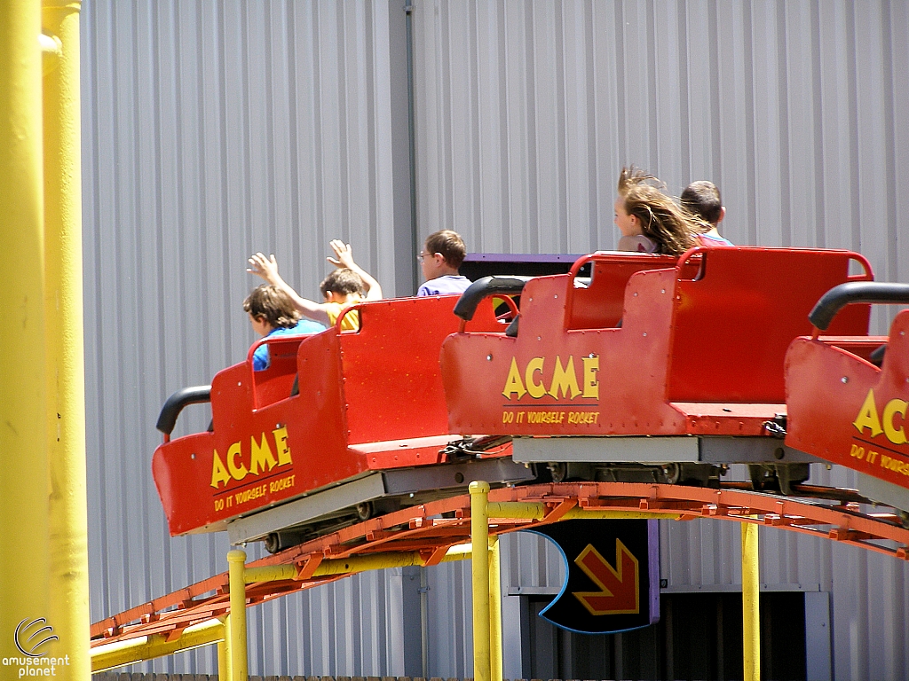 Cactus Coaster