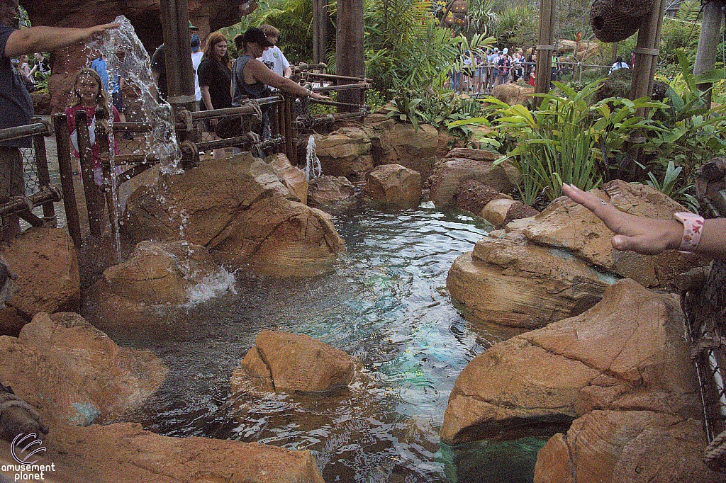 Journey of Water