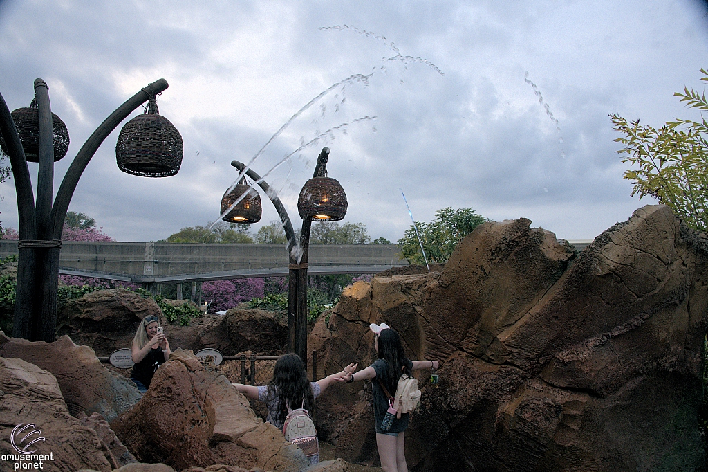 Journey of Water