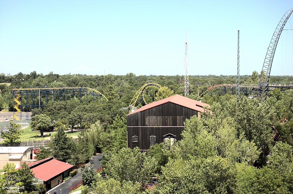 Diamondback