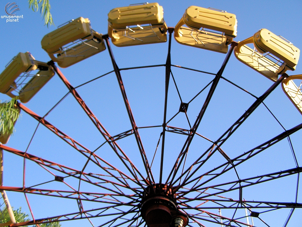Rodeo Round-Up