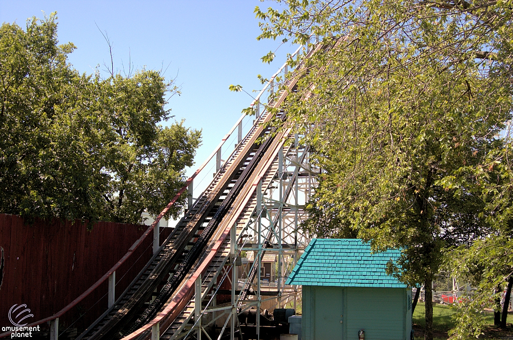 Wildcat