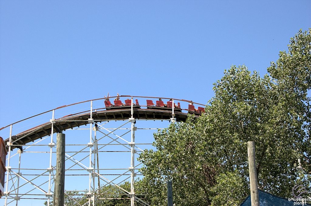 Wildcat