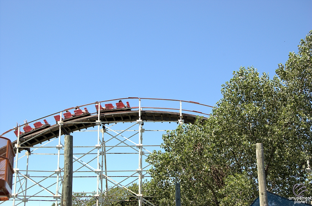 Wildcat