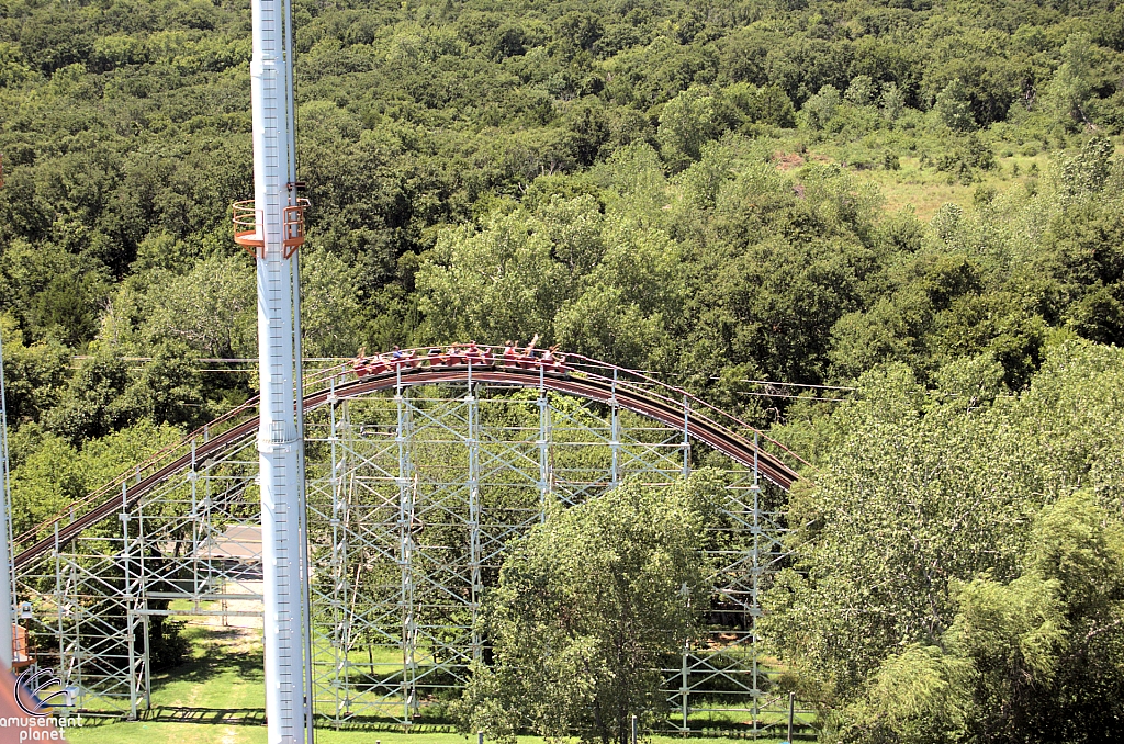Wildcat
