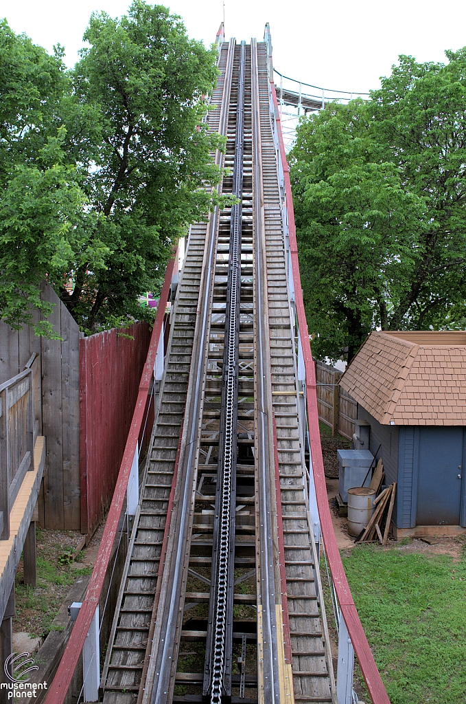 Wildcat