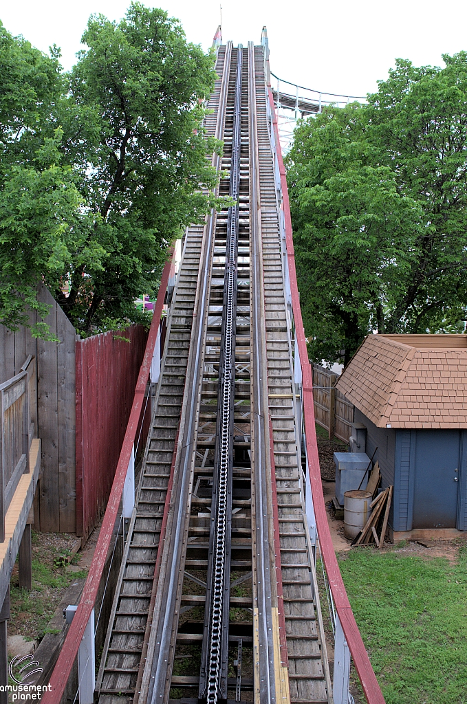 Wildcat