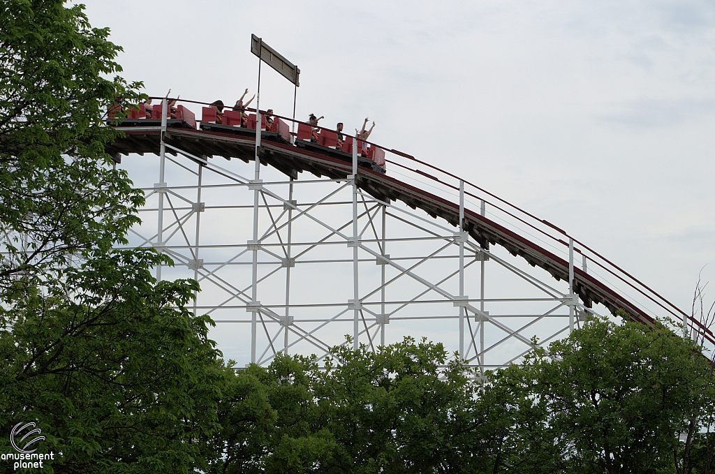 Wildcat
