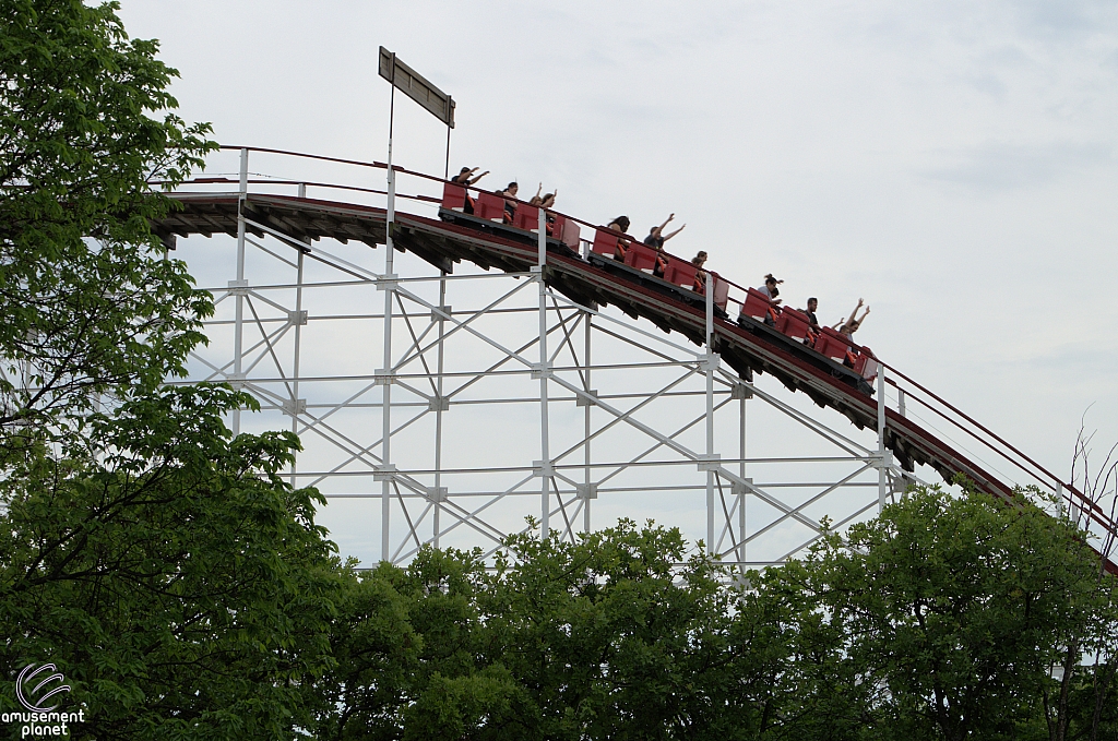 Wildcat