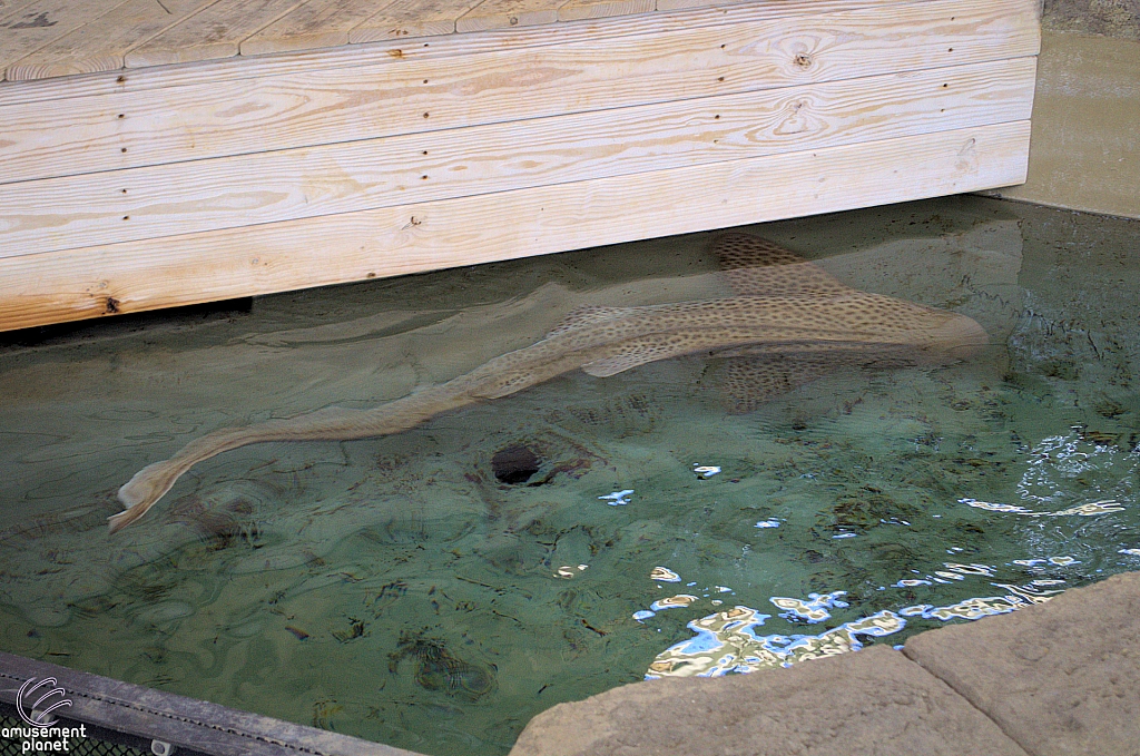 Children's Aquarium at Fair Park