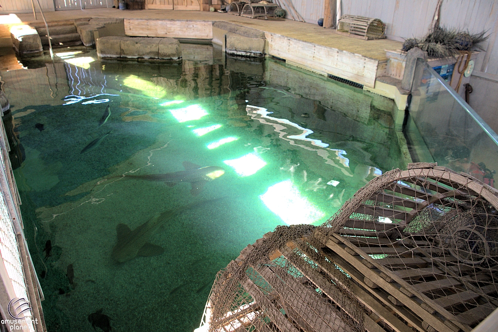 Children's Aquarium at Fair Park