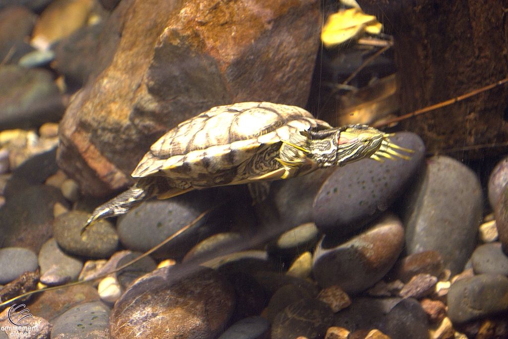 Children's Aquarium at Fair Park