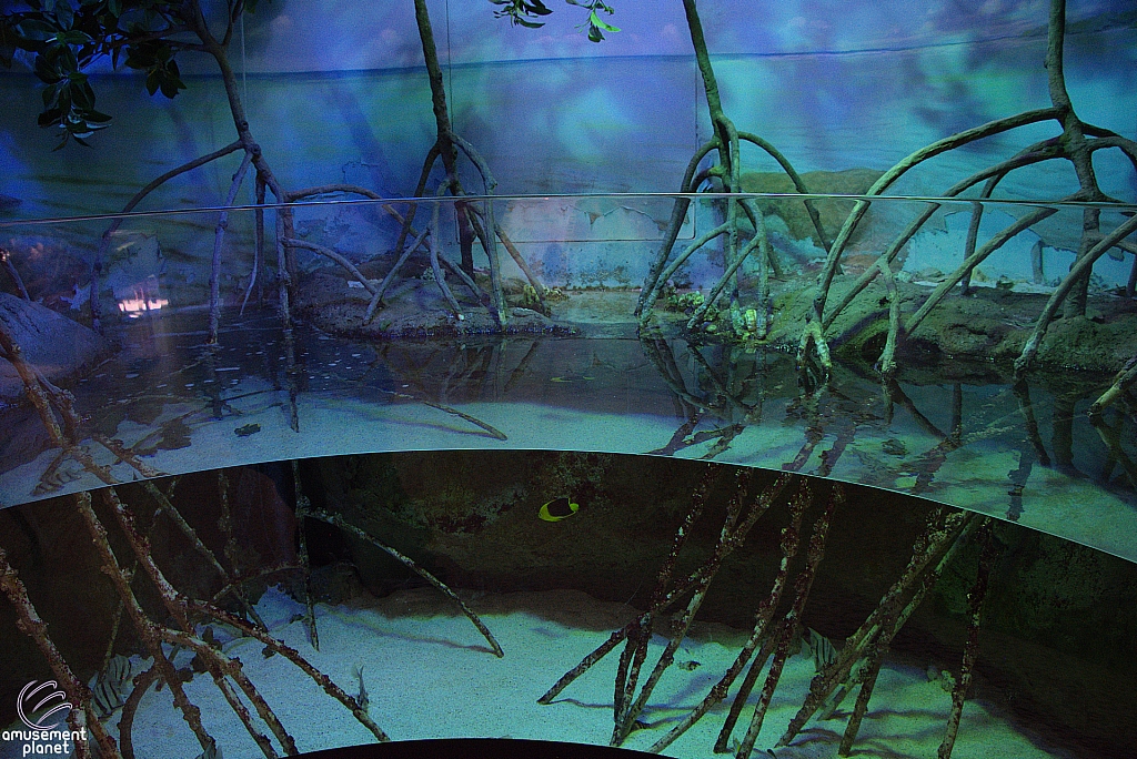 Children's Aquarium at Fair Park