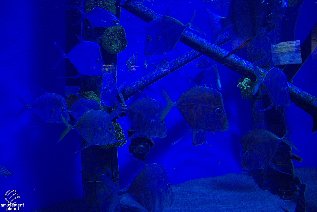 Children's Aquarium at Fair Park