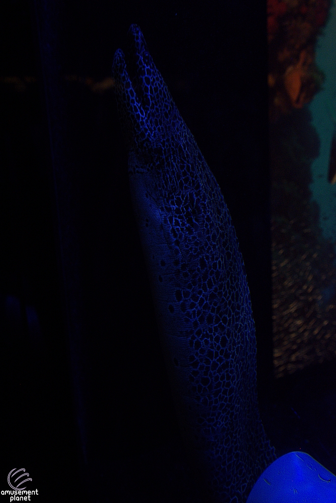 Children's Aquarium at Fair Park