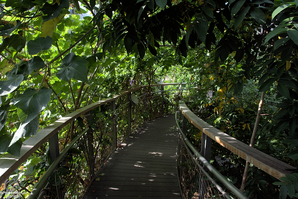 Texas Discovery Gardens