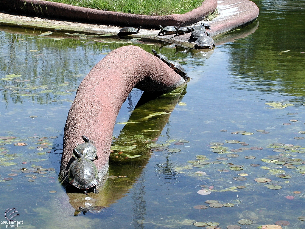 Leonhardt Lagoon