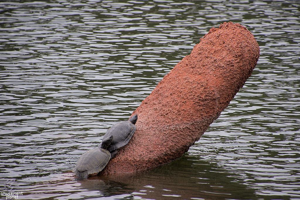 Leonhardt Lagoon