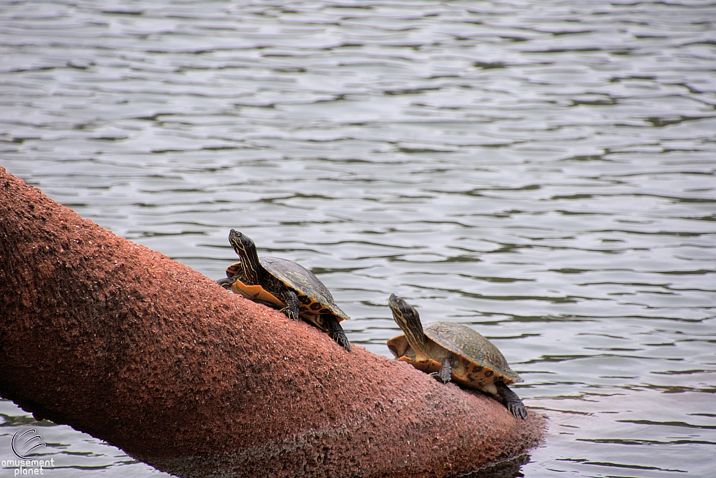 Leonhardt Lagoon