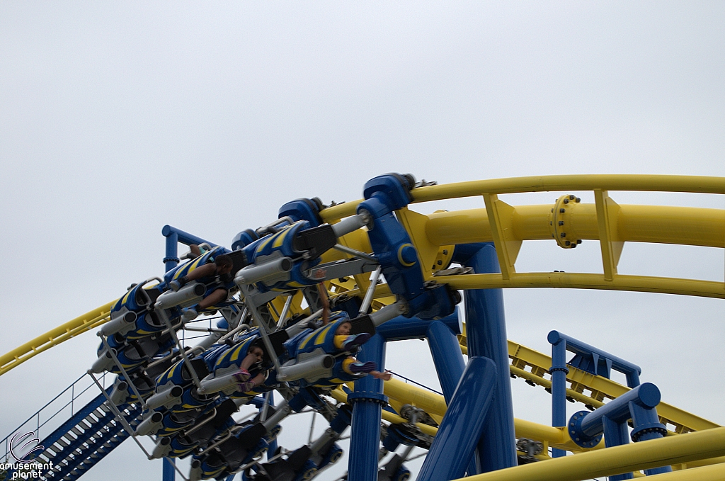 Freedom Flyer