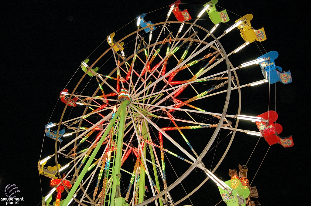 Eli Wheel
