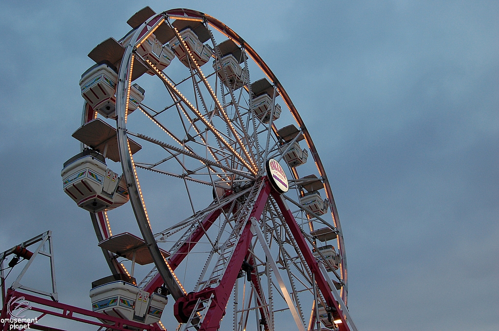 Century Wheel