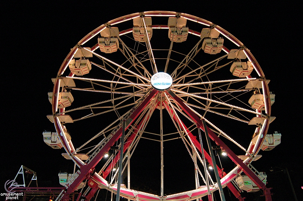 Century Wheel