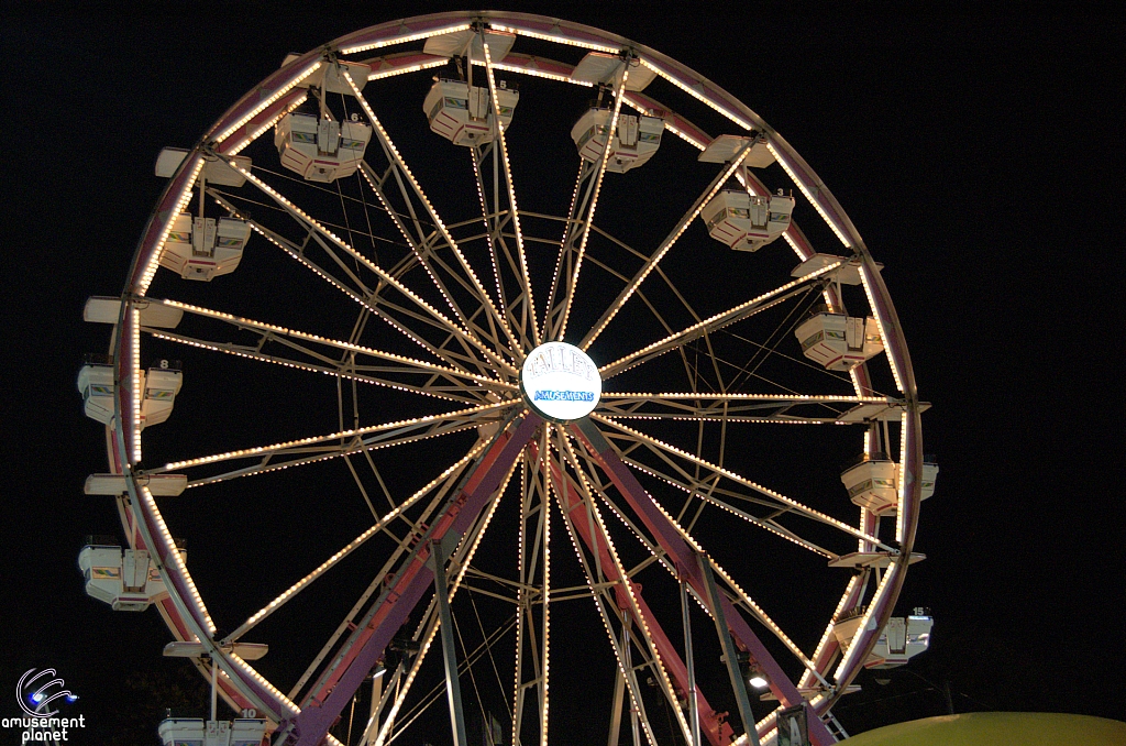Century Wheel