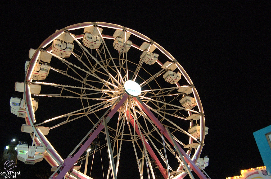 Century Wheel