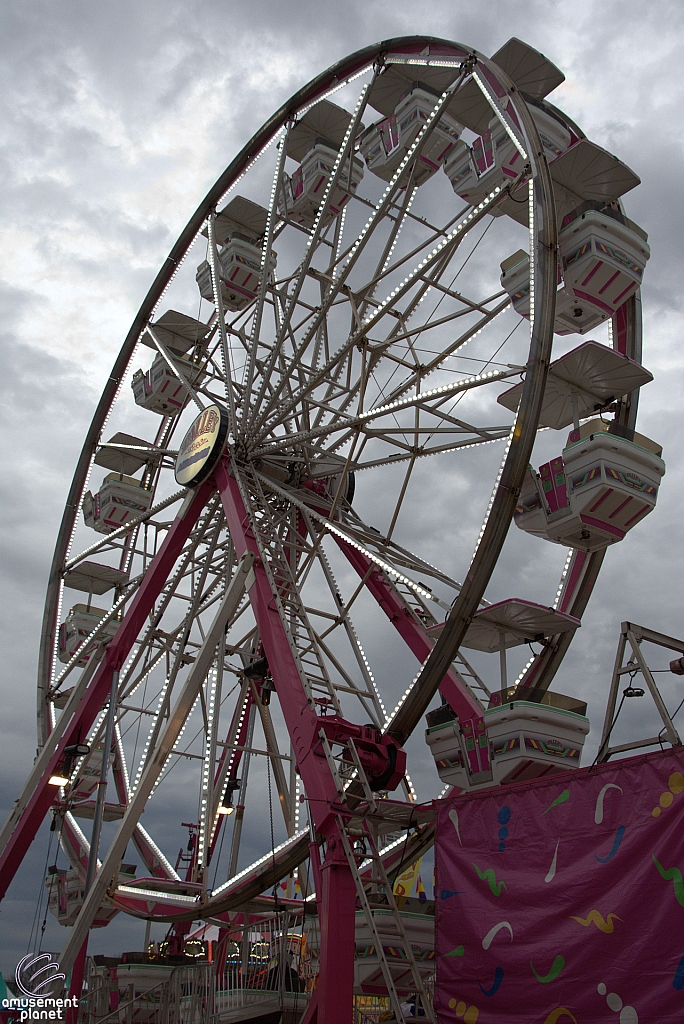 Century Wheel